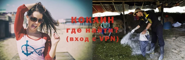 прущие грибы Тобольск