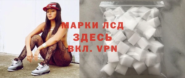 сатива Зерноград