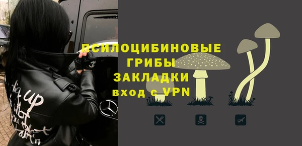 сатива Зерноград