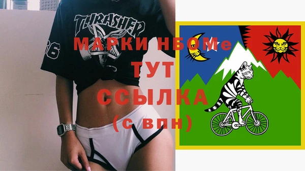 сатива Зерноград